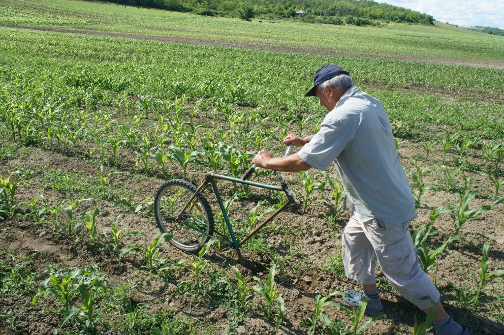 Man som skjuter cykel gframför sig som plog